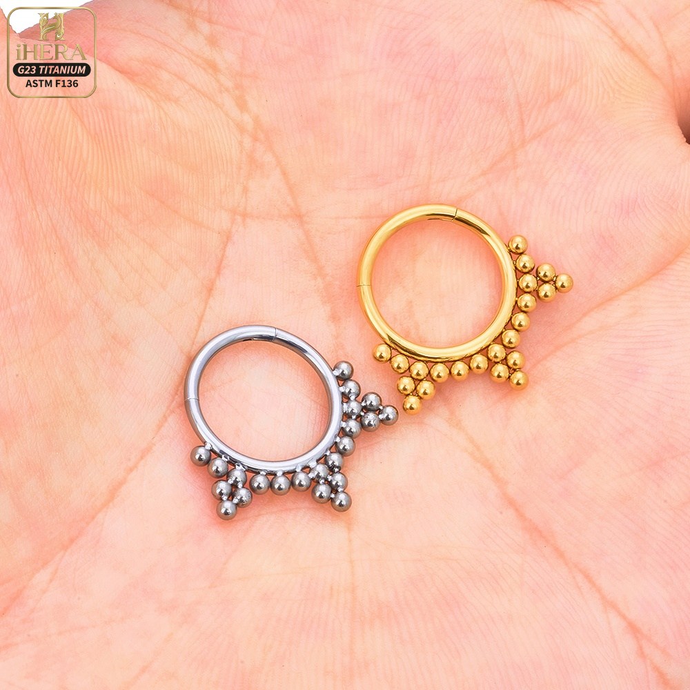 Anneau segmenté articulé en ti - Septum Clicker Ring avis et prix