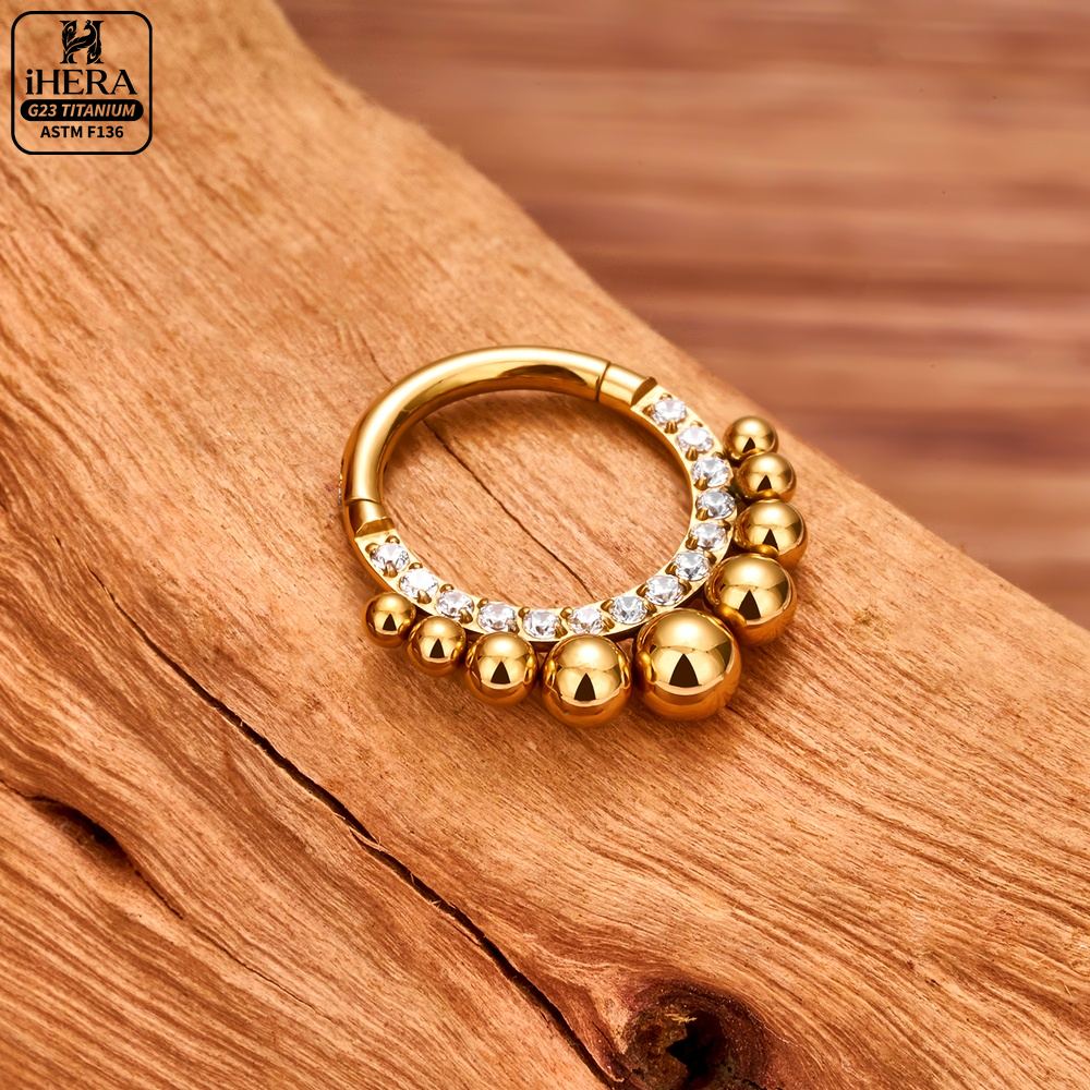 Anneau segmenté articulé en ti - Septum Clicker Ring avis et prix