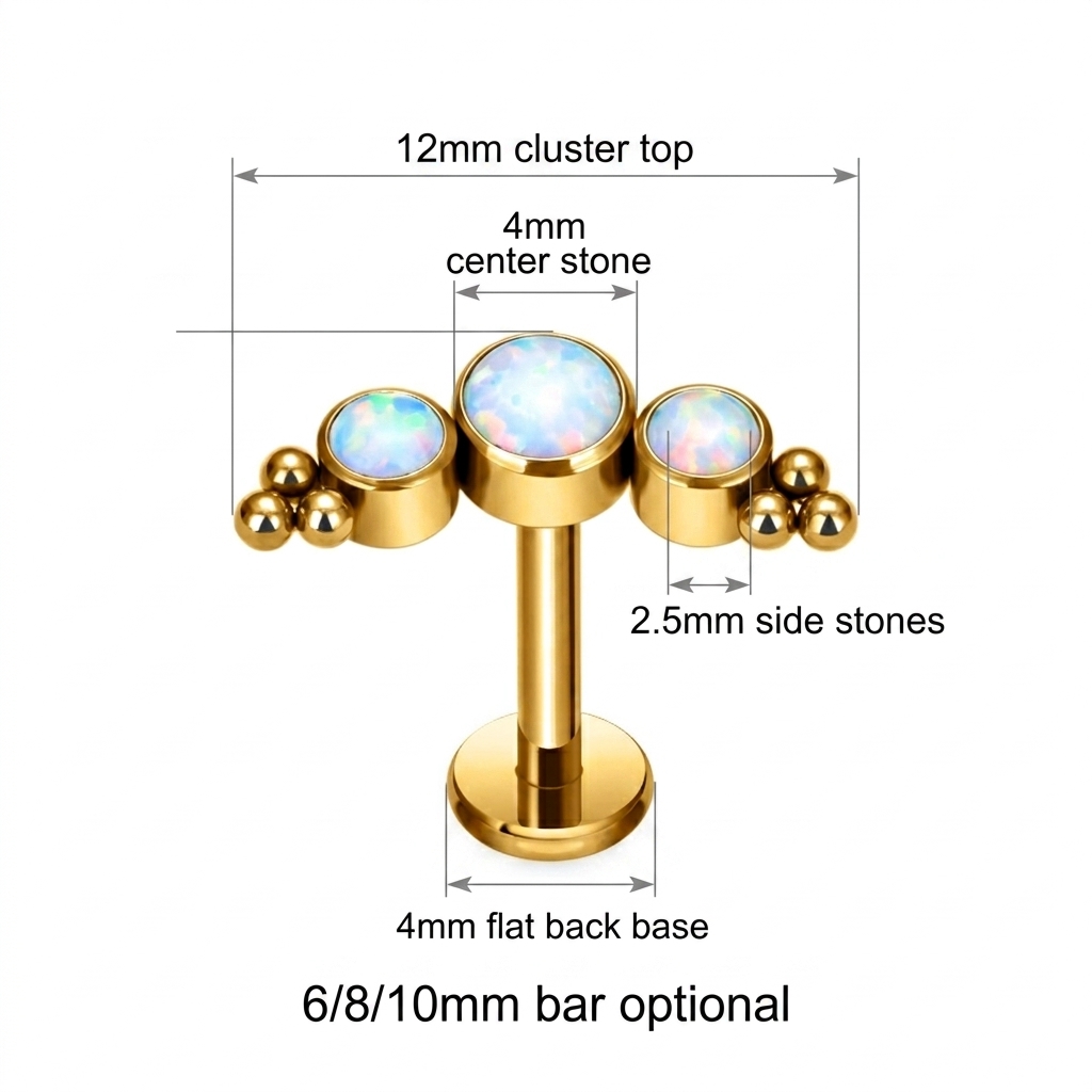 Labret en Titane G23 avec Grap - Flat Back Labret Stud avis et prix