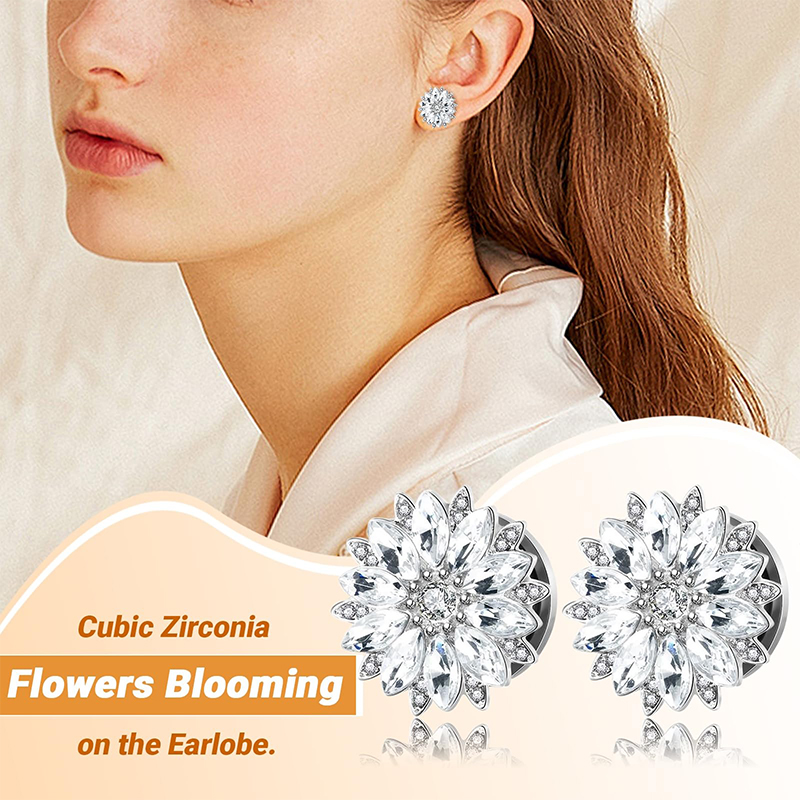 Bouchons et tunneaux d'oreille - Body Jewelry Ear Plugs avis et prix