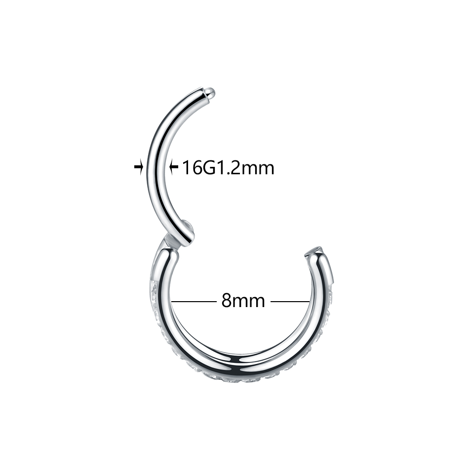 Boucles d'oreilles en titane p - Septum Clicker Ring avis et prix